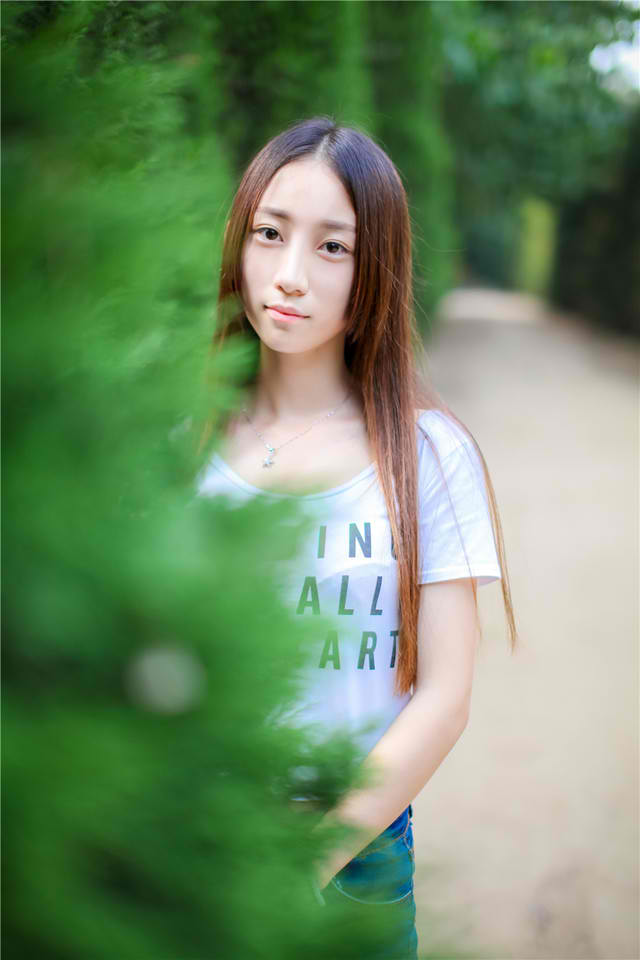 龙珠剧场版全集
